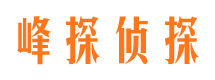 丰城外遇调查取证